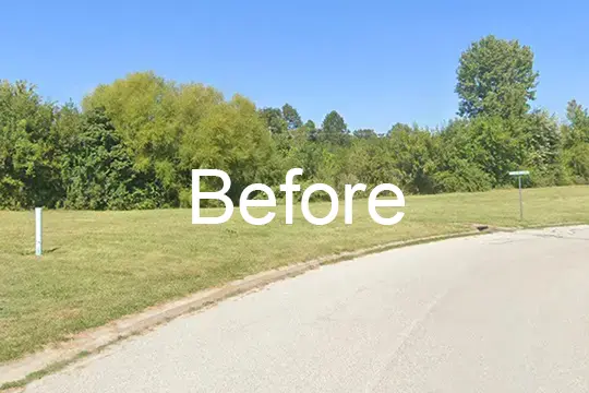 before forest mulch belleville illinois